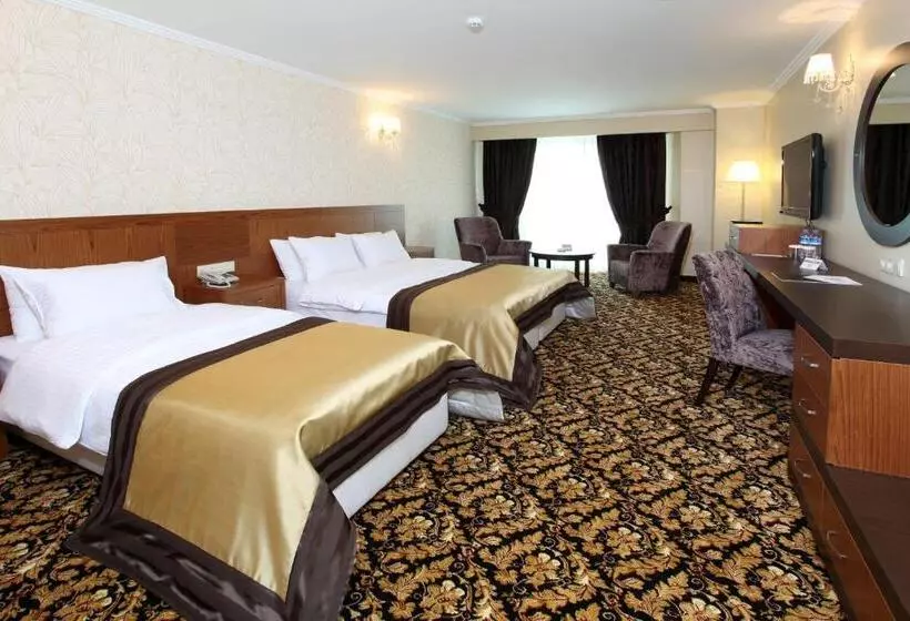 スイート, Arya Hotel Sakarya