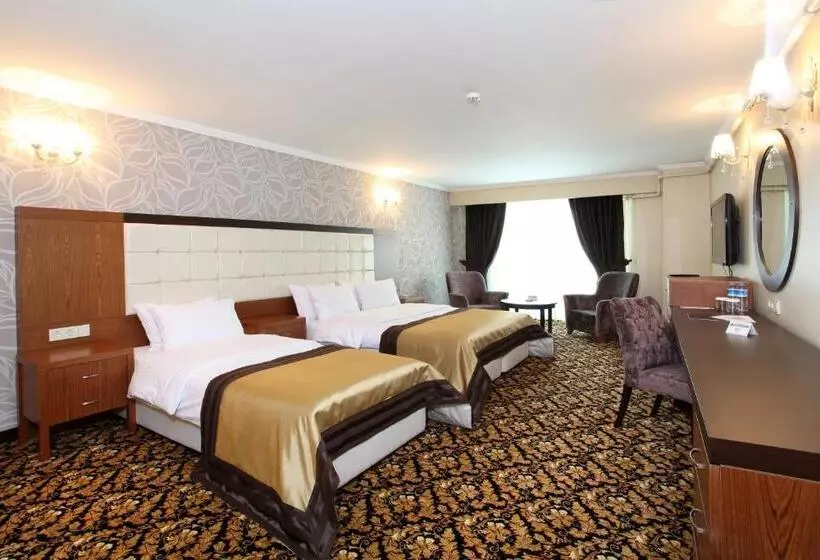 スイート, Arya Hotel Sakarya
