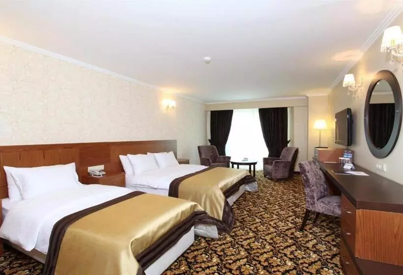 シングルデラックスルーム, Arya Hotel Sakarya