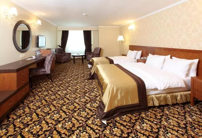 シングルデラックスルーム, Arya Hotel Sakarya