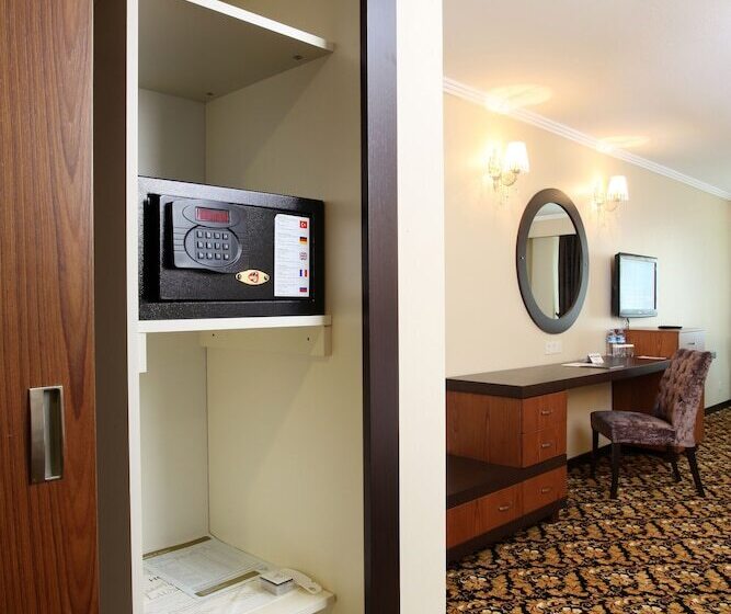 غرفة قياسية, Arya Hotel Sakarya