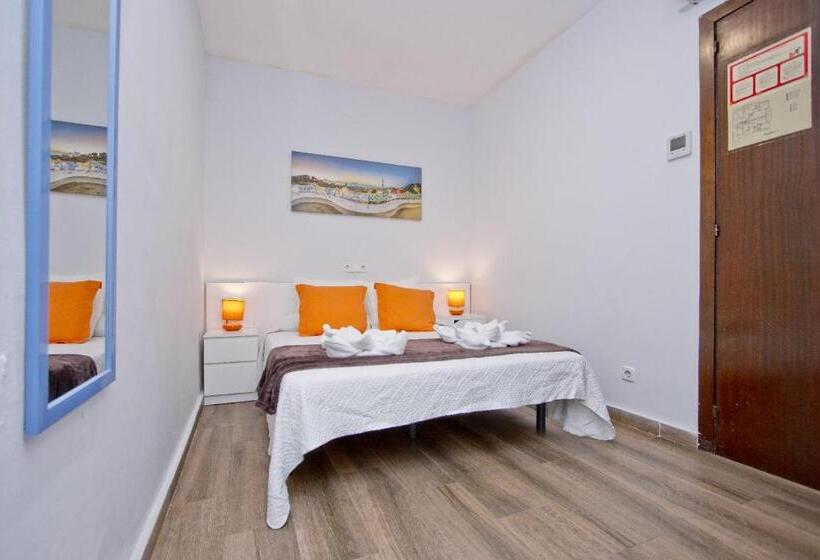 Номер Стандарт, Barcelona City Seven