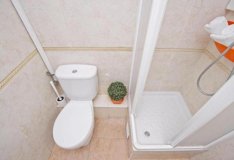 Номер Стандарт, Barcelona City Seven