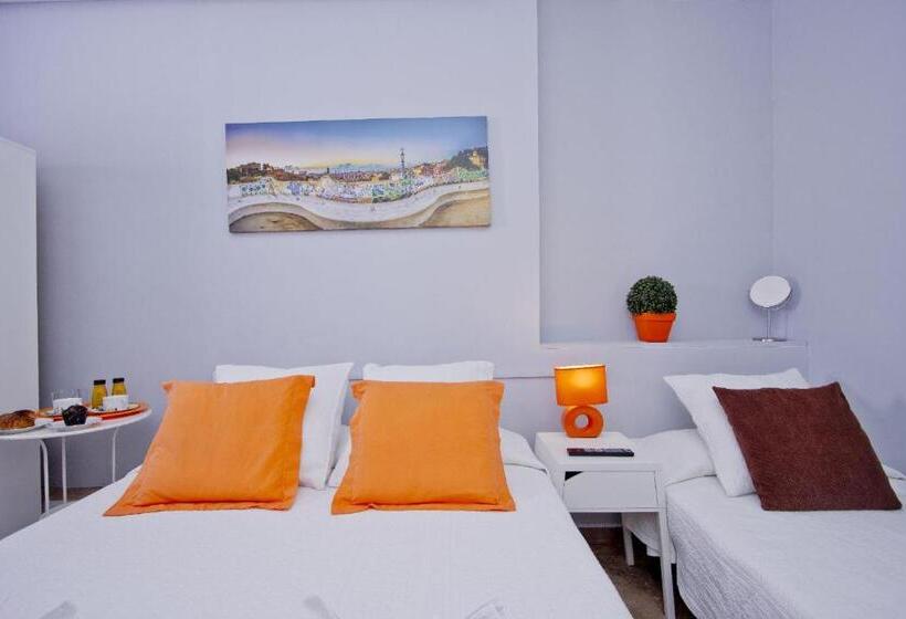 Номер Стандарт, Barcelona City Seven