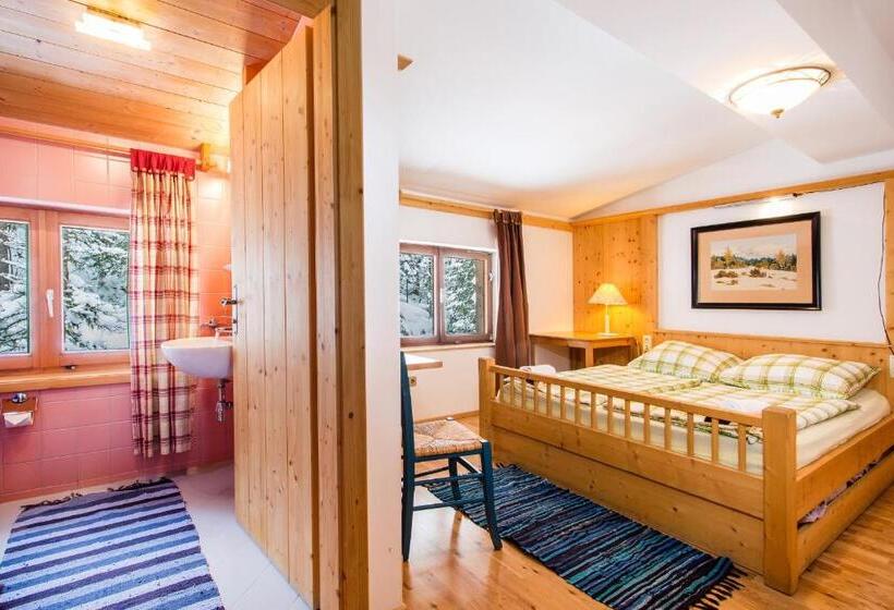 חדר סטנדרט נוף להרים, Alpengasthof Paletti