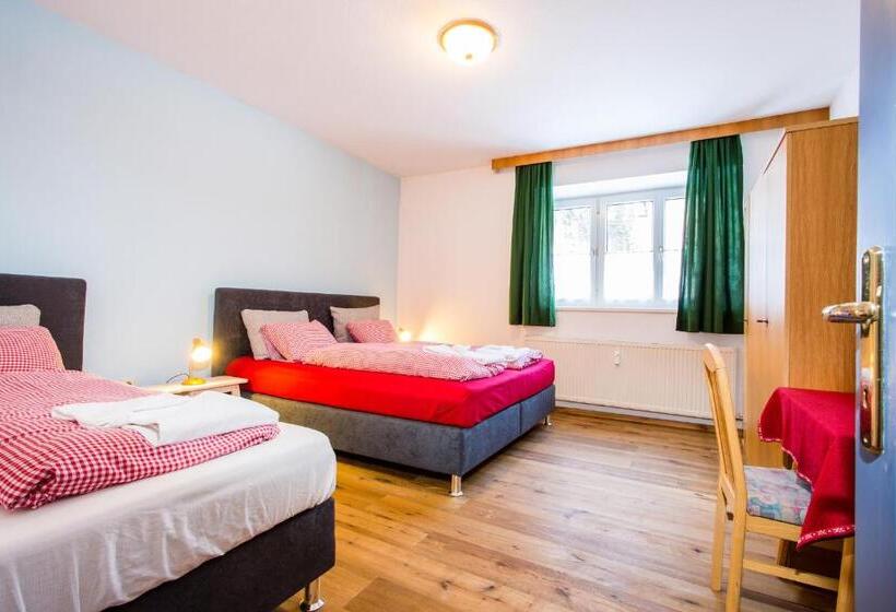 דירה בת חדר שינה 1 עם נוף, Alpengasthof Paletti