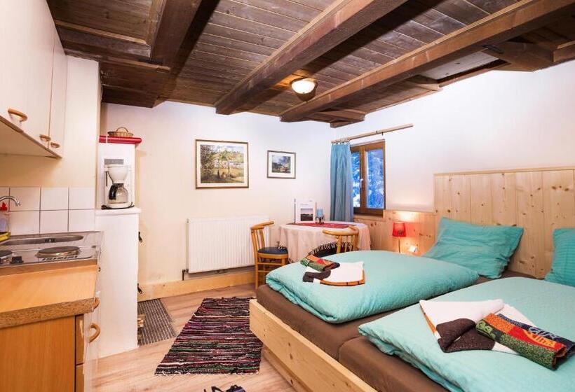 דירה בת חדר שינה 1 עם נוף, Alpengasthof Paletti