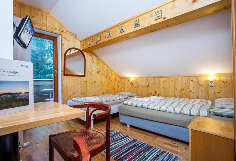 דירה בת חדר שינה 1 עם נוף, Alpengasthof Paletti