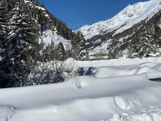 דירה בת חדר שינה 1 עם נוף, Alpengasthof Paletti