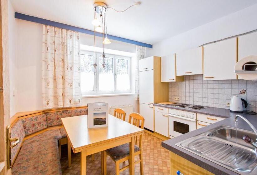 דירה בת חדר שינה 1 עם נוף, Alpengasthof Paletti