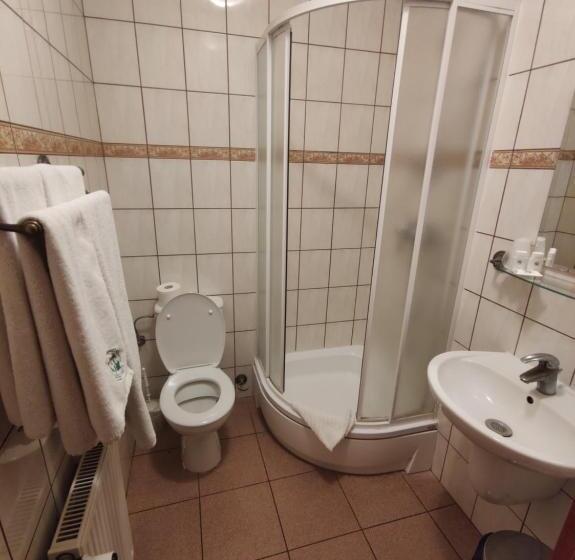 エコノミールーム, Dom Schumannów