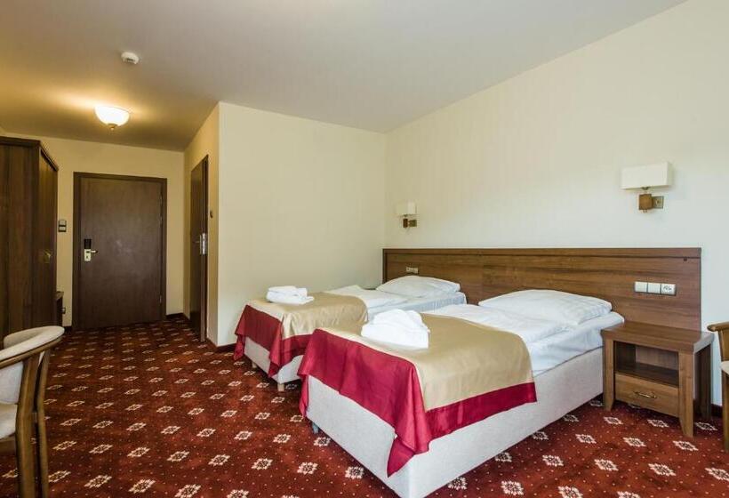 غرفة قياسية, Dziki Potok Karpacz Konferencje & Spa