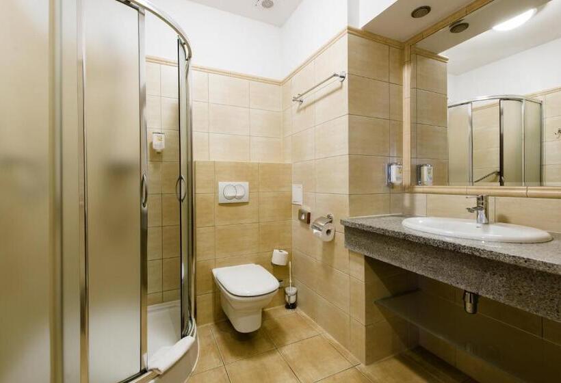 غرفة ديلوكس, Dziki Potok Karpacz Konferencje & Spa