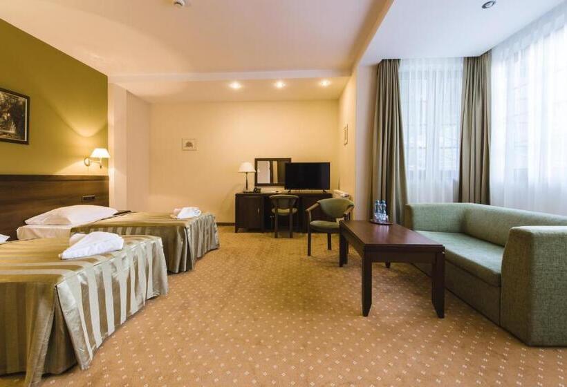 غرفة ديلوكس, Dziki Potok Karpacz Konferencje & Spa