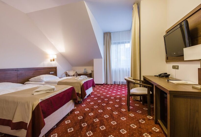 غرفة قياسية, Dziki Potok Karpacz Konferencje & Spa