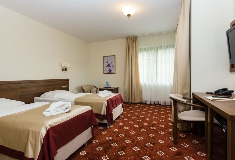 غرفة قياسية, Dziki Potok Karpacz Konferencje & Spa