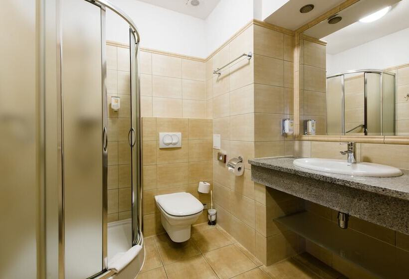 غرفة قياسية, Dziki Potok Karpacz Konferencje & Spa