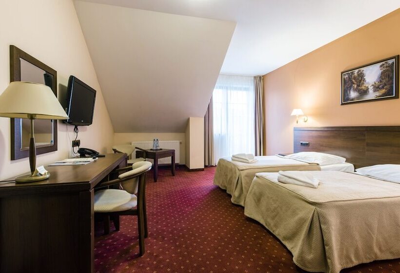غرفة قياسية, Dziki Potok Karpacz Konferencje & Spa
