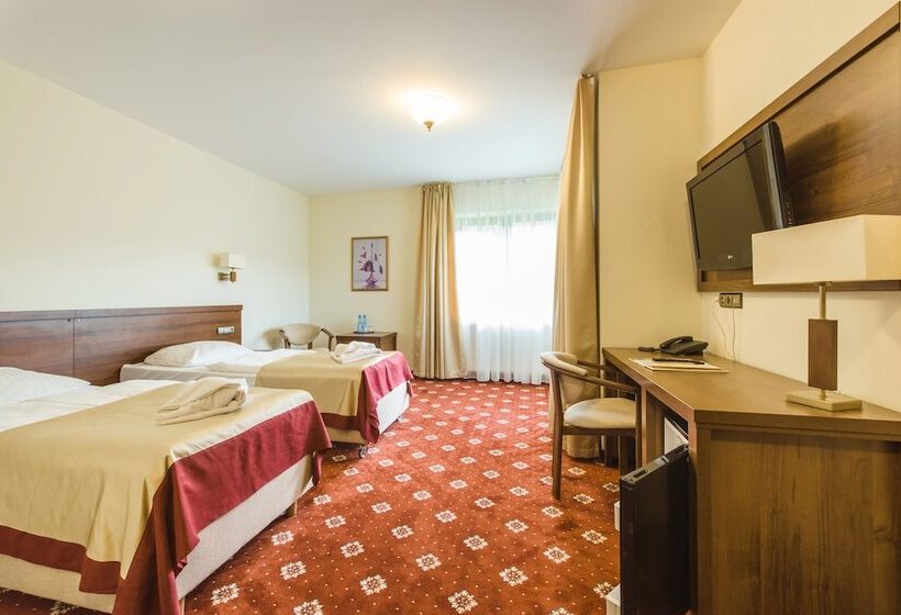 غرفة قياسية, Dziki Potok Karpacz Konferencje & Spa