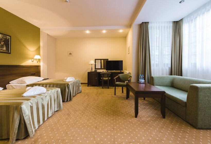 غرفة قياسية, Dziki Potok Karpacz Konferencje & Spa