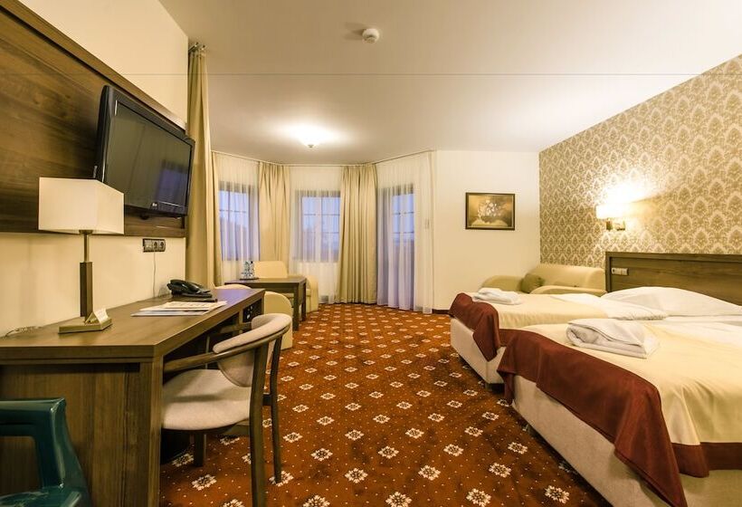 غرفة قياسية, Dziki Potok Karpacz Konferencje & Spa