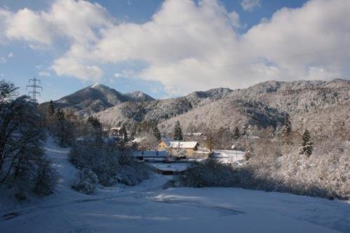 غرفة سوبيريور, Ezio House