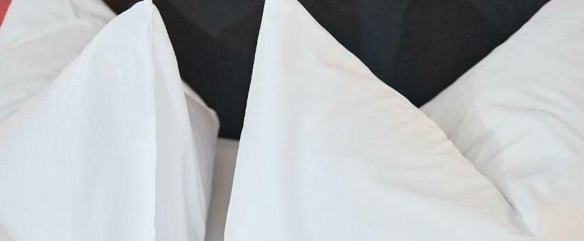 اتاق استاندارد سه نفره, Hottingen