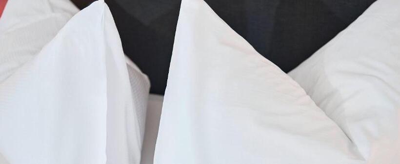 اتاق ساده با بالکن, Hottingen