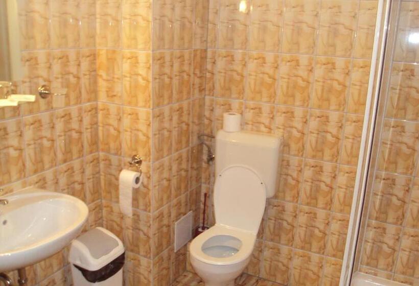 اتاق استاندارد سه تخته با بالکن, Pensiunea Warthe