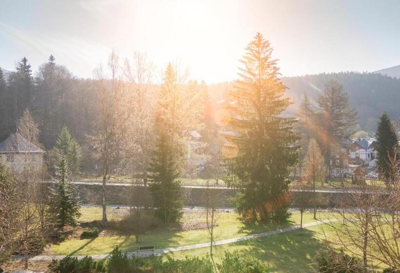 חדר דלוקס עם מרפסת, Savoy