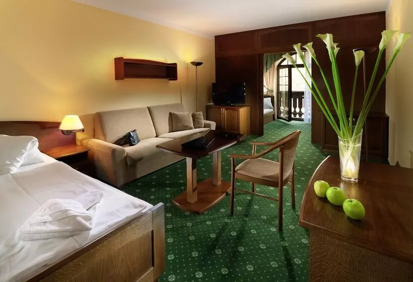 ファミリールーム, Wellness Hotel Windsor