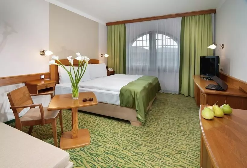 コンフォートルーム, Wellness Hotel Windsor