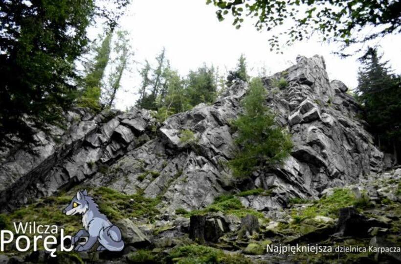 Номер Стандарт, Willa Góral Goralska Osada Domki Apartamenty Pokoje