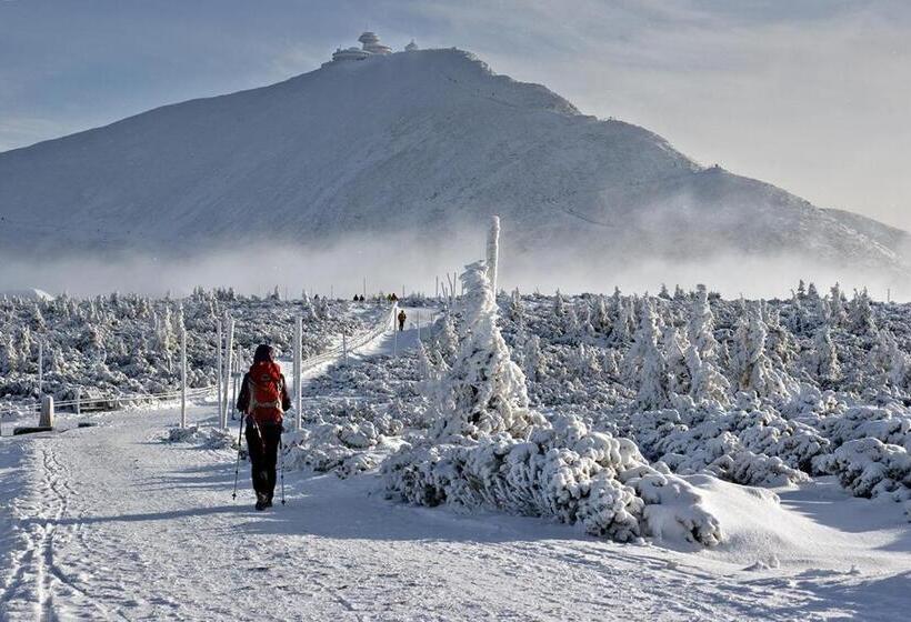 Номер Стандарт Трехместный, Willa Góral Goralska Osada Domki Apartamenty Pokoje