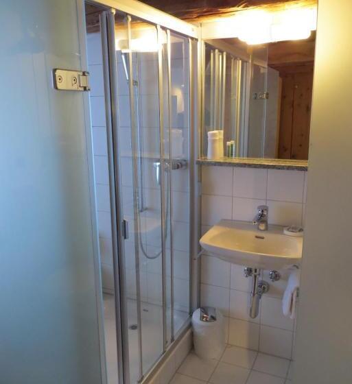 חדר מוזל מקלחת משותפת, Gasthaus & Hotel Berninahaus