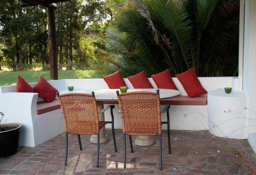 套房带泳池景, Orange Ville Lodge & Guesthouse