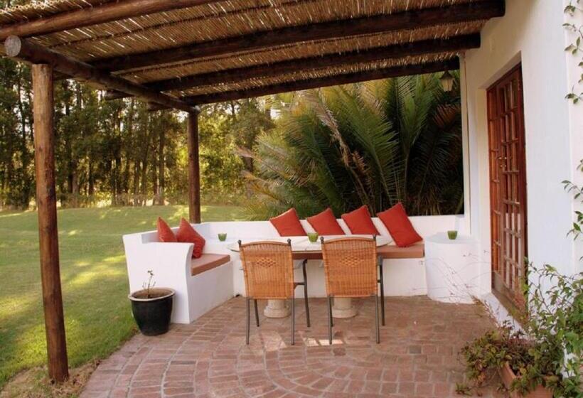 套房带泳池景, Orange Ville Lodge & Guesthouse