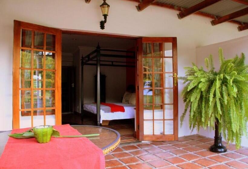 套房带泳池景, Orange Ville Lodge & Guesthouse