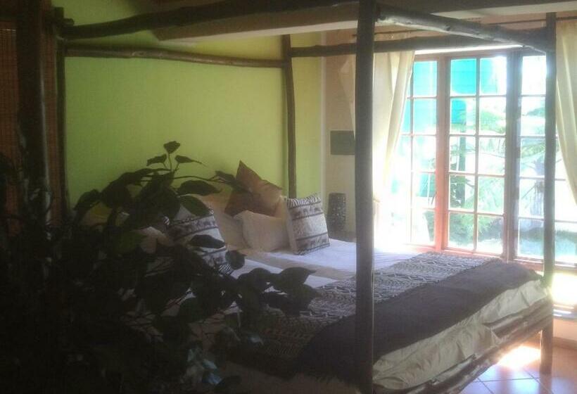 套房带园景, Orange Ville Lodge & Guesthouse