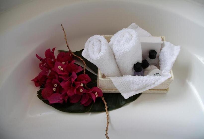 带大床的高级房间, Orange Ville Lodge & Guesthouse