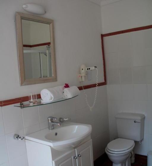 带大床的高级房间, Orange Ville Lodge & Guesthouse