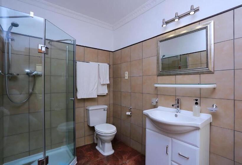 带泳池观景的豪华房, Orange Ville Lodge & Guesthouse