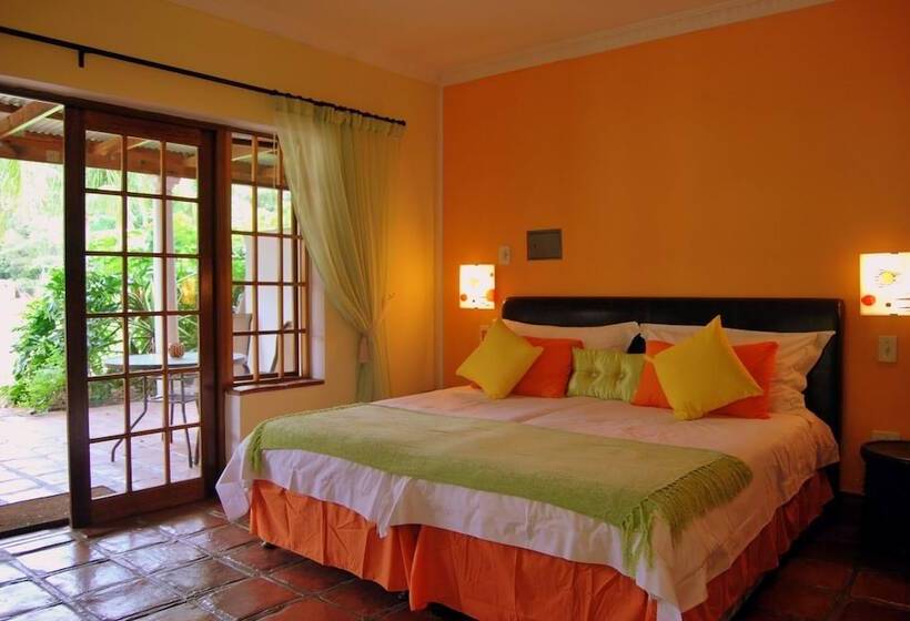 带泳池观景的豪华房, Orange Ville Lodge & Guesthouse