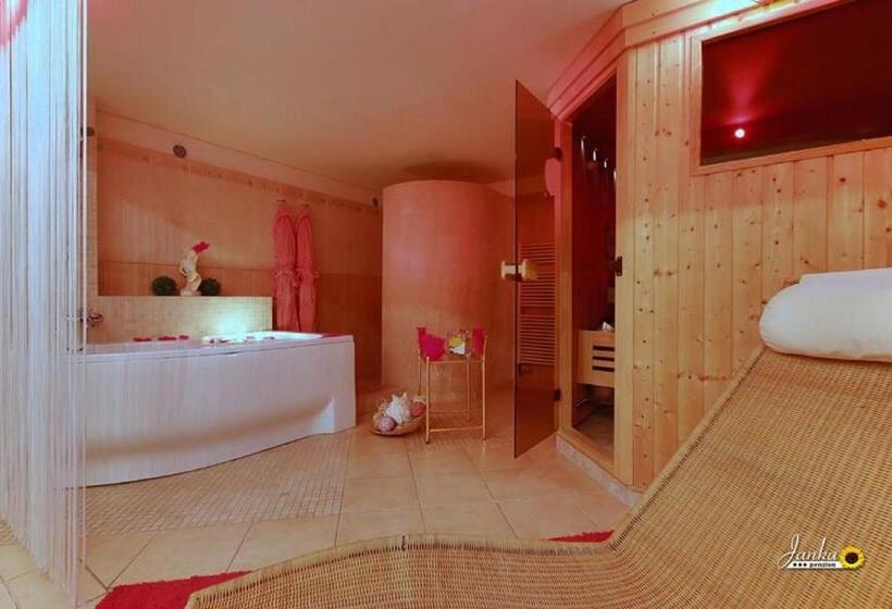 חדר סטנדרט, Penzion Janka