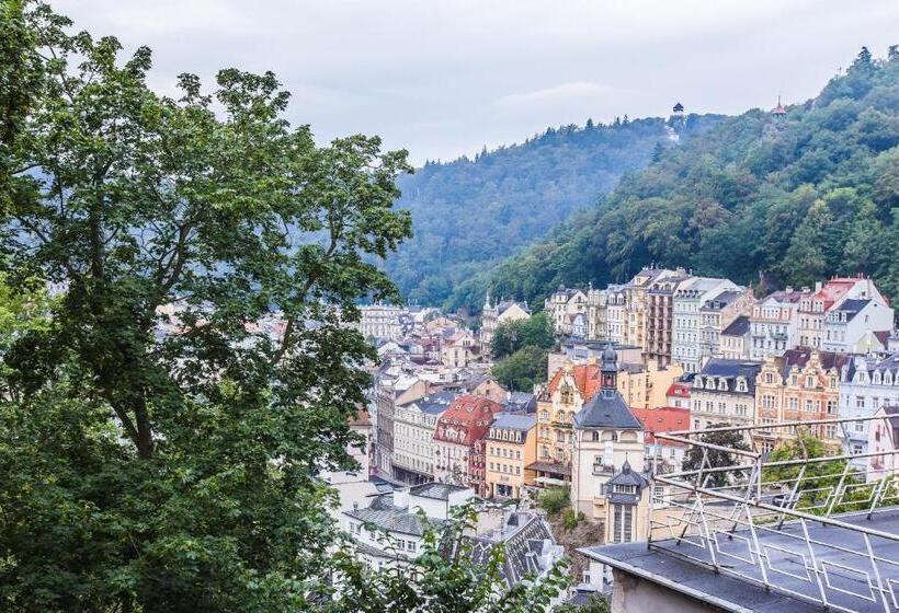 스탠다드 도시전망 룸, Sanatorium Spa Hotel Panorama