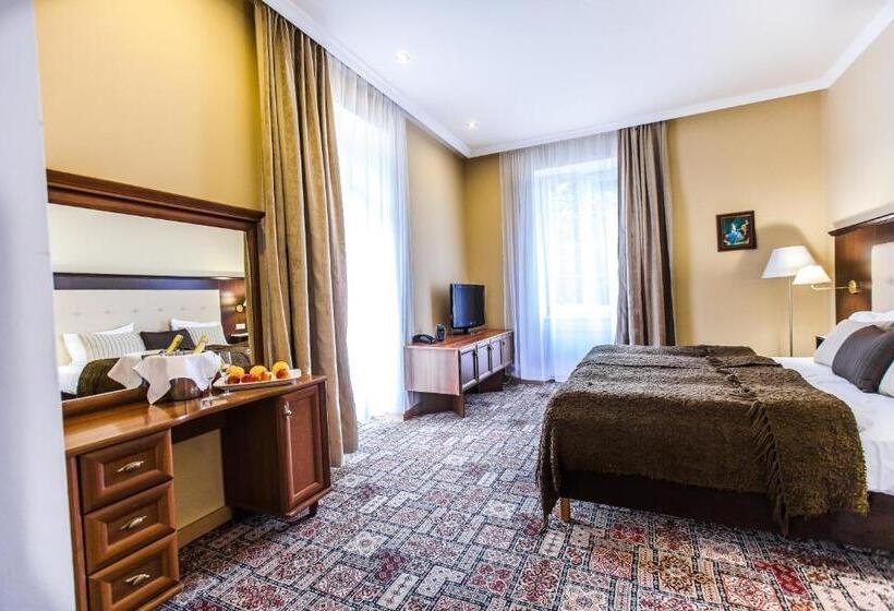 스탠다드 도시전망 룸, Sanatorium Spa Hotel Panorama