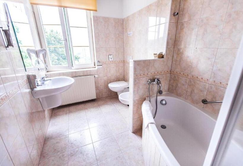 스위트, Sanatorium Spa Hotel Panorama