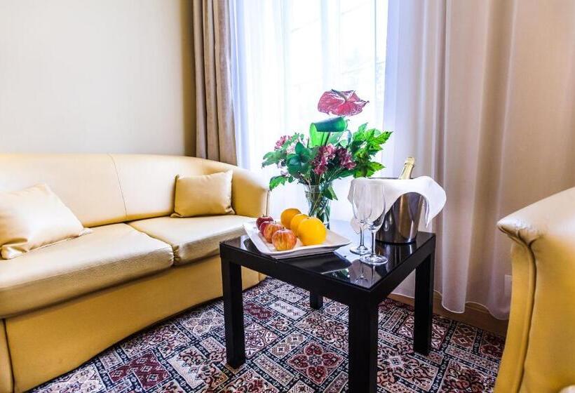 스탠다드 룸, Sanatorium Spa Hotel Panorama