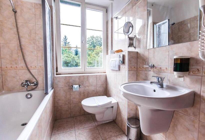 스탠다드 룸, Sanatorium Spa Hotel Panorama