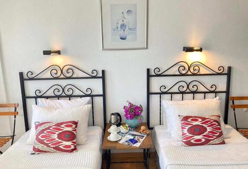 غرفة قياسية, Villa Tokur